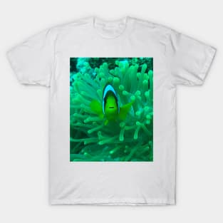 Anemone fish T-Shirt